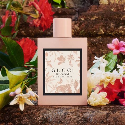 gucci bloom divain|Perfume similar to Bloom from Gucci – DIVAIN® EU.